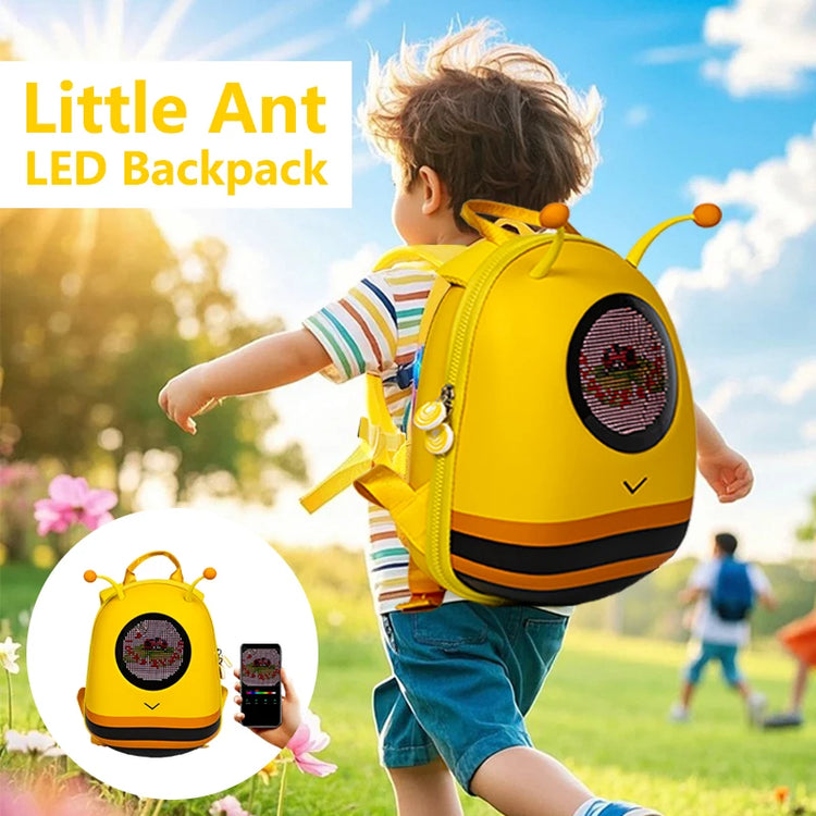 LED Backpack Bag